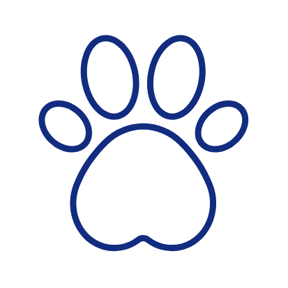 Pet Shop Servicii Publice